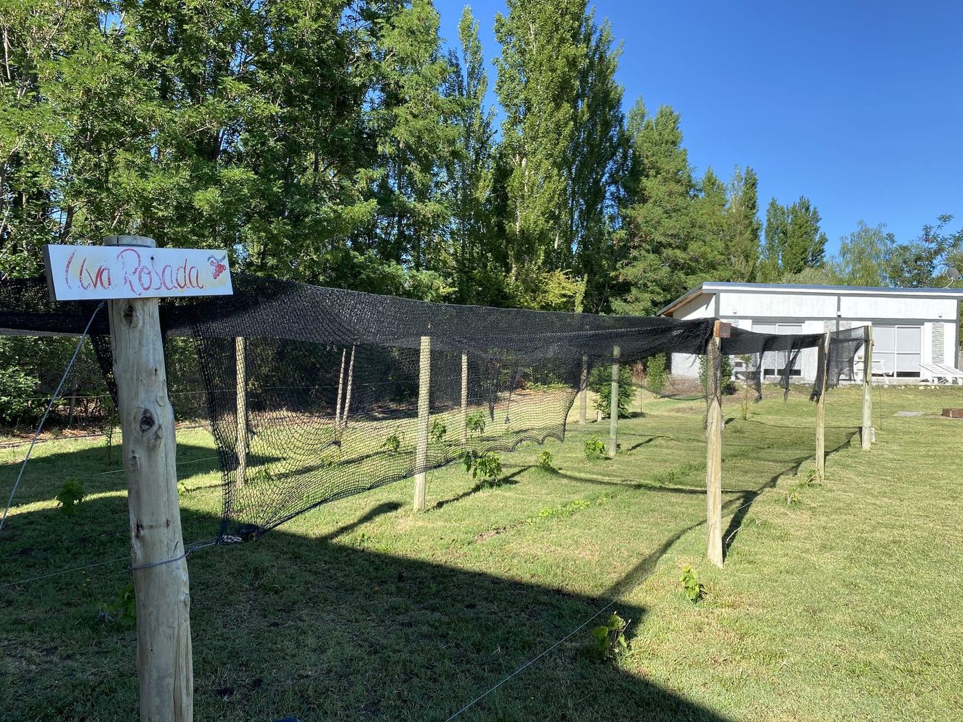 El predio de Posada Pura Vida