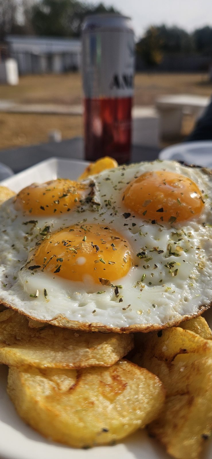 Huevos frescos de nuestro desayuno